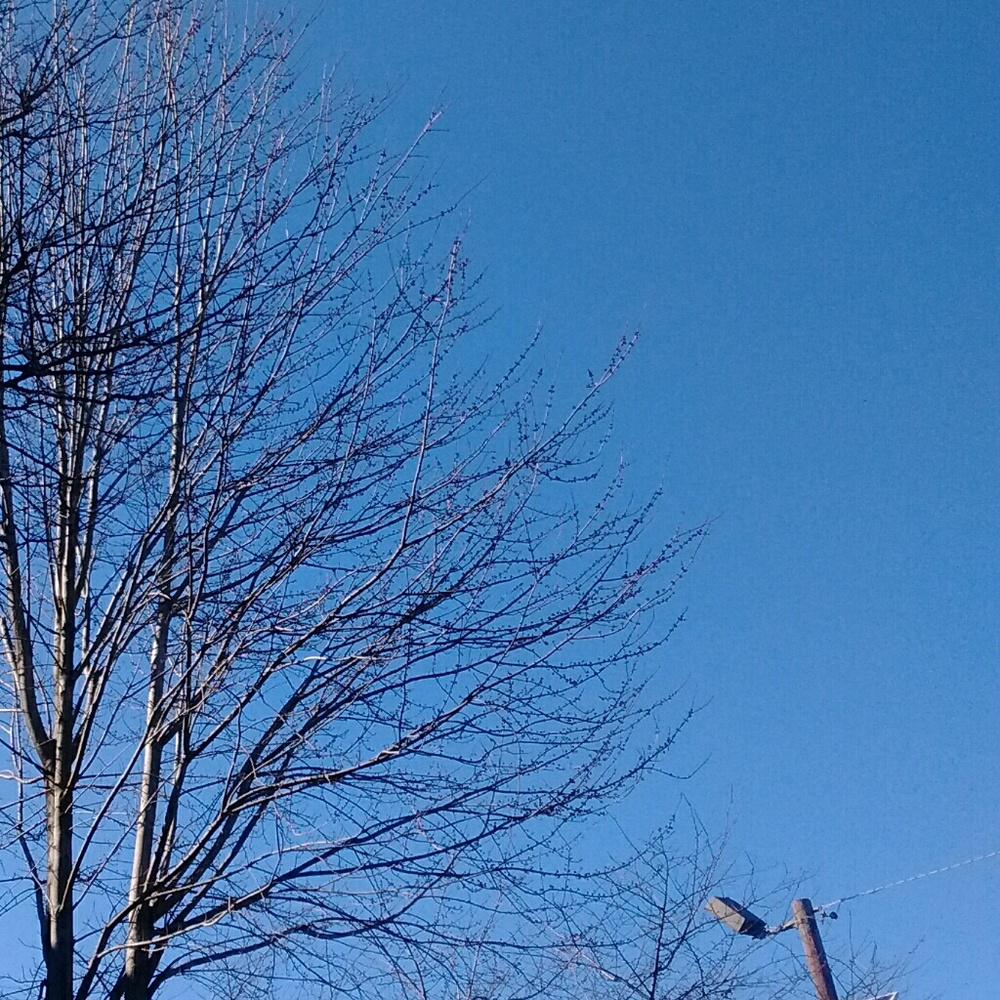 Meet your Posher, Carol